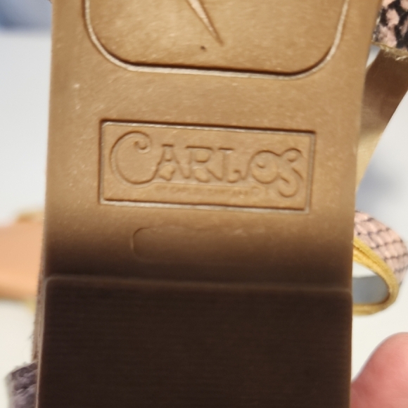 Black and Gold Gladiator Sandals with Metallic Buckles - Picture 4 of 6